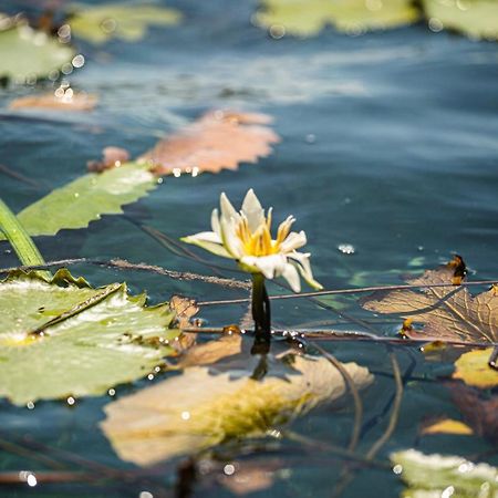 Casa Sol Y Luna Bacalar Bed & Breakfast エクステリア 写真