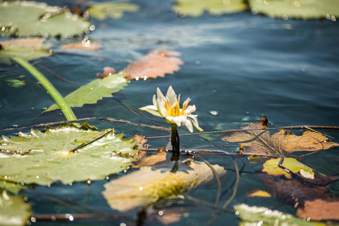 Casa Sol Y Luna Bacalar Bed & Breakfast エクステリア 写真