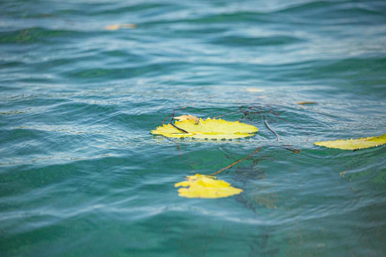 Casa Sol Y Luna Bacalar Bed & Breakfast エクステリア 写真